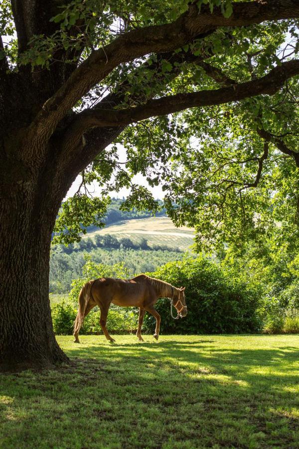 Agriturismo Molino Nuovo Castel San Pietro Terme Esterno foto